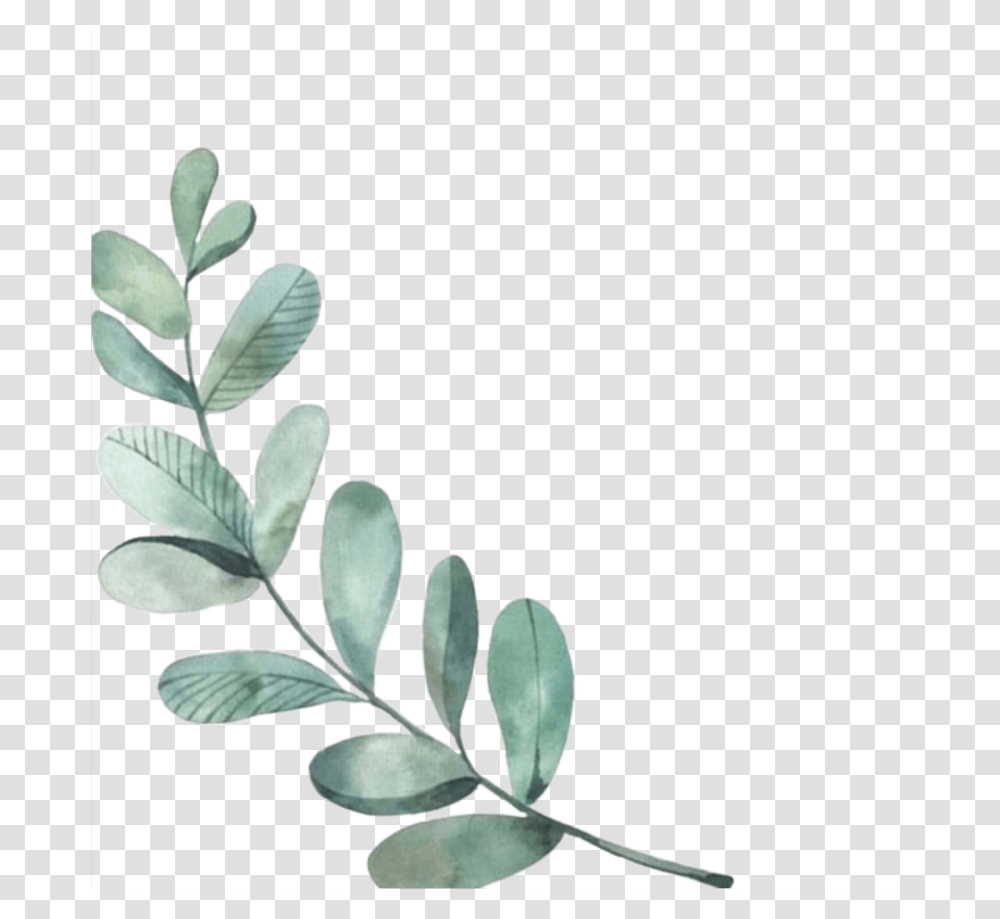 Overlays Leaves Leaf Watercolor Memories Instagram Highlight Cover, Plant, Flower, Blossom, Gray Transparent Png