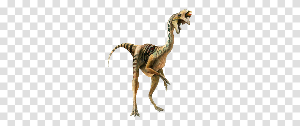 Oviraptor Background, Dinosaur, Reptile, Animal, T-Rex Transparent Png