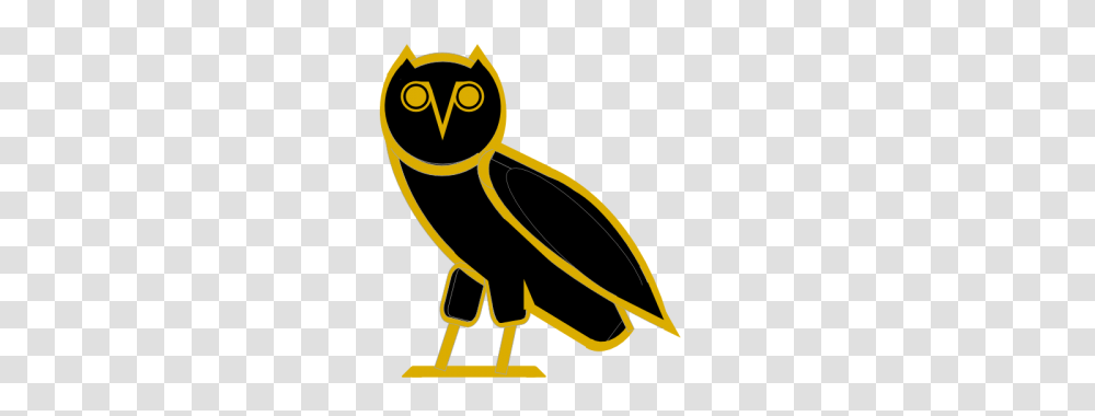 Ovo Owl Image, Bird, Animal Transparent Png