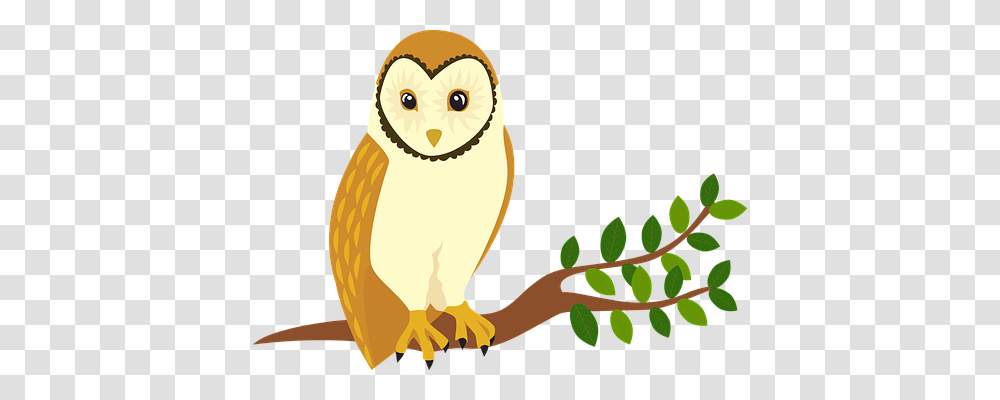Owl Nature, Animal, Bird Transparent Png