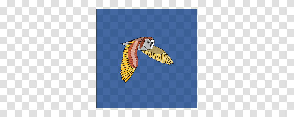 Owl Nature, Flying, Bird, Animal Transparent Png