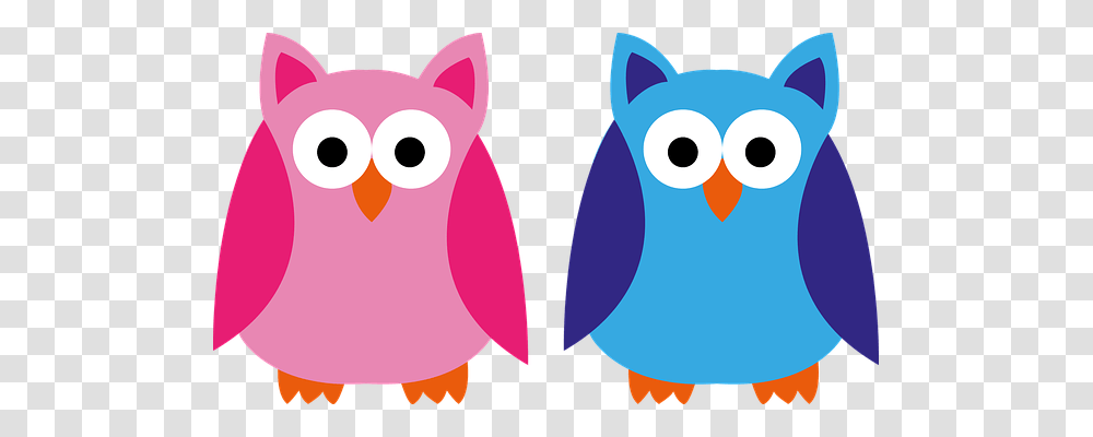 Owl Person, Angry Birds Transparent Png