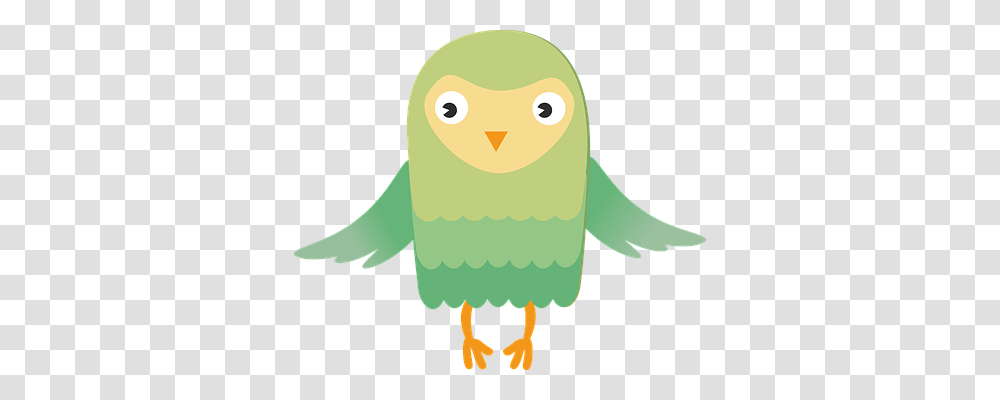 Owl Animals, Bird, Kiwi Bird, Penguin Transparent Png