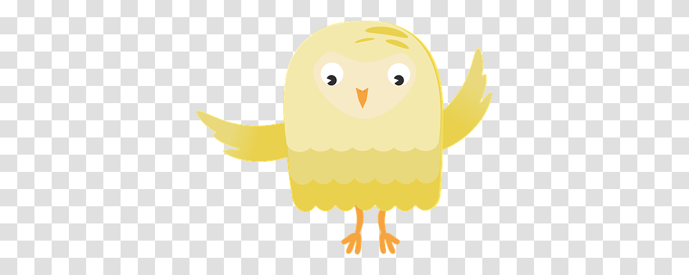 Owl Sport, Animal, Bird, Kiwi Bird Transparent Png