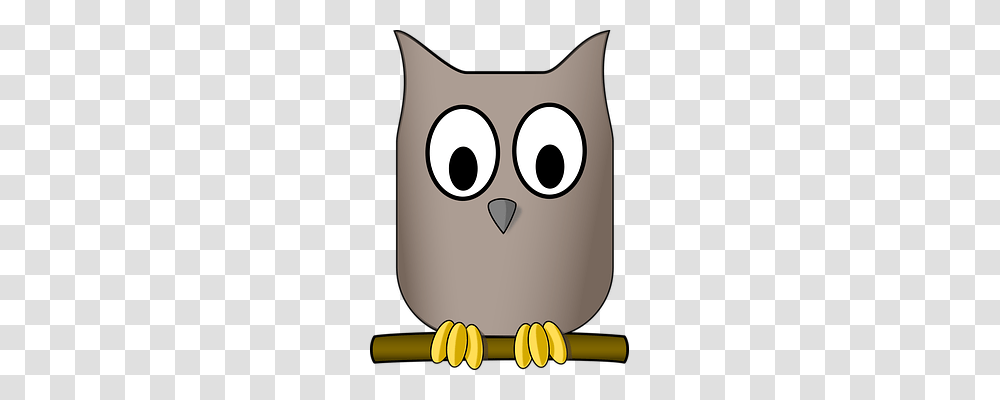 Owl Nature, Bird, Animal, Beak Transparent Png