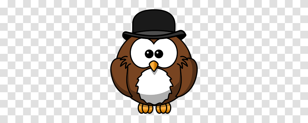 Owl Animals, Bird, Fowl, Hen Transparent Png