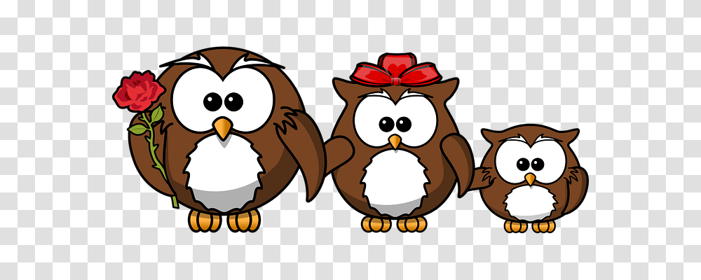 Owl Person, Plant, Angry Birds, Mammal Transparent Png