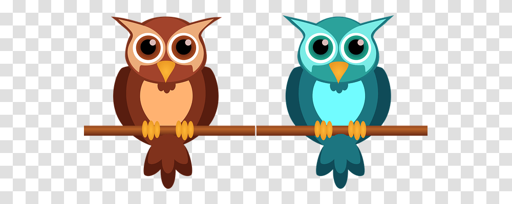 Owl Bird, Animal, Gun, Weapon Transparent Png