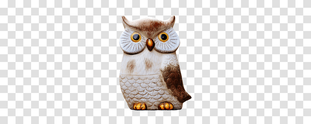 Owl Animals, Toy, Beak, Bird Transparent Png