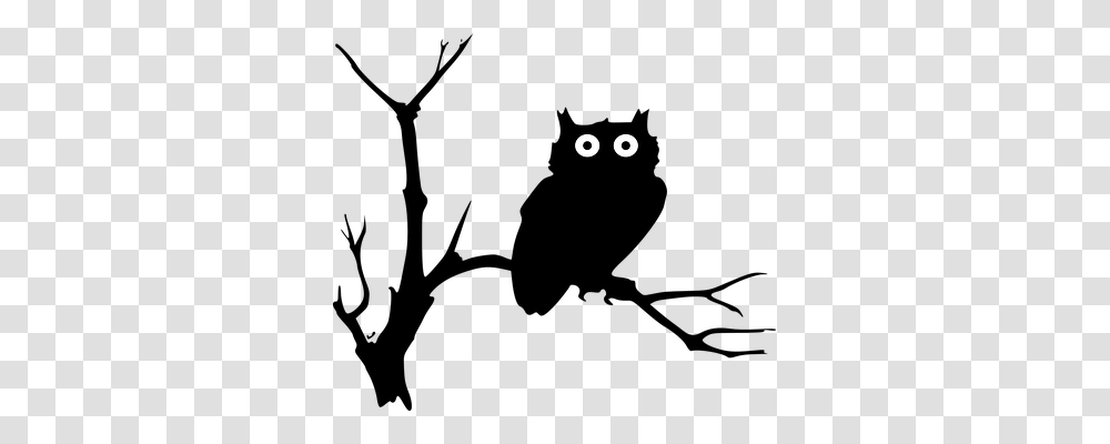 Owl Animals, Gray Transparent Png