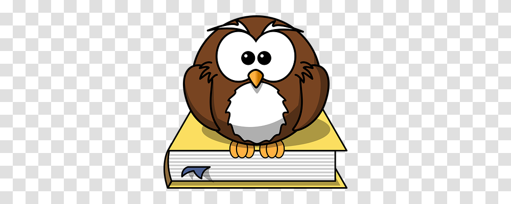 Owl Education, Animal, Bird, Egg Transparent Png