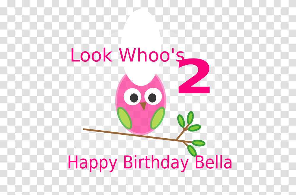 Owl 2nd Birthday 900px Large Size Clip Arts Free And 1 St Birthday Wishes, Label, Text Transparent Png