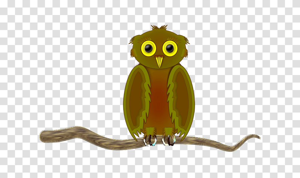 Owl 3 Finished, Animals, Bird Transparent Png