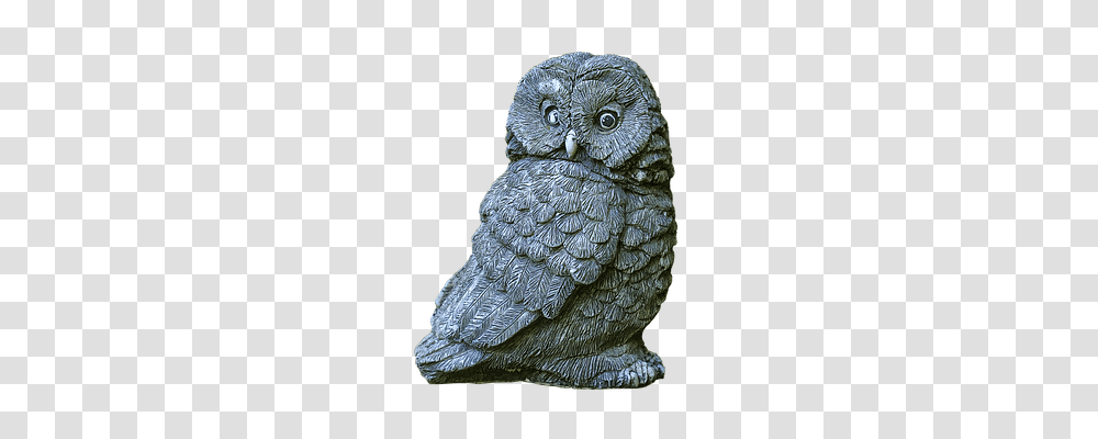 Owl Animals, Figurine, Bird, Rock Transparent Png