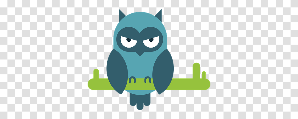 Owl Animals, Bird Transparent Png