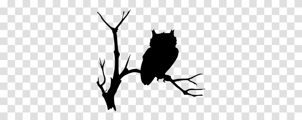 Owl Nature, Gray, World Of Warcraft Transparent Png