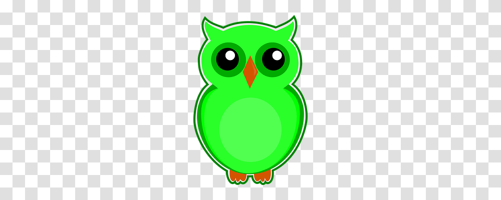 Owl Nature, Number Transparent Png
