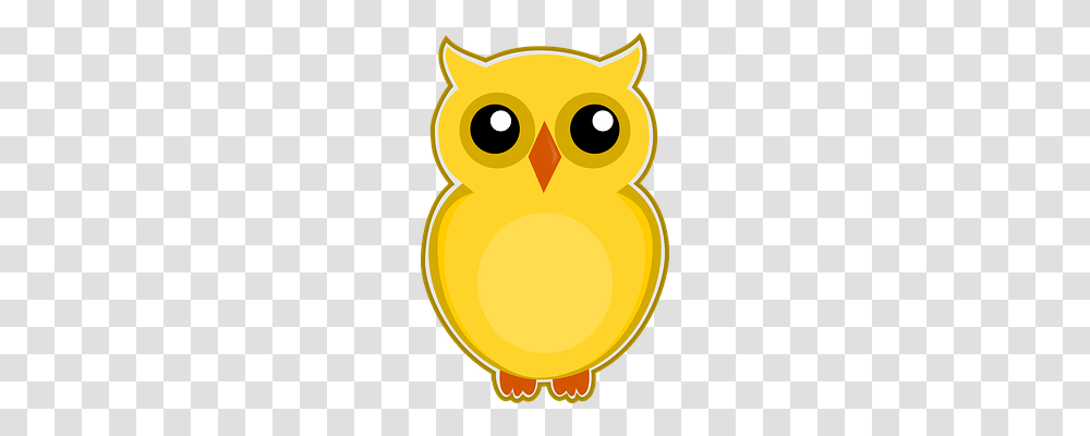 Owl Nature, Bird, Animal, Fowl Transparent Png