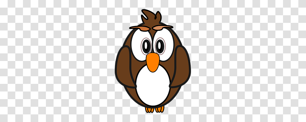Owl Nature, Bird, Animal, Penguin Transparent Png