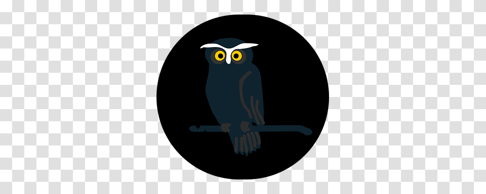Owl Emotion, Bird, Animal, Beak Transparent Png