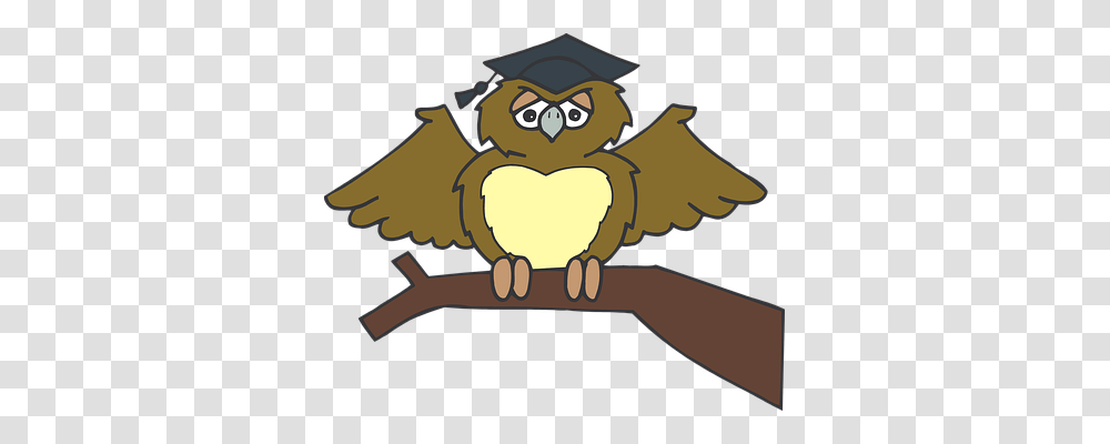 Owl Education, Animal, Bird, Gun Transparent Png