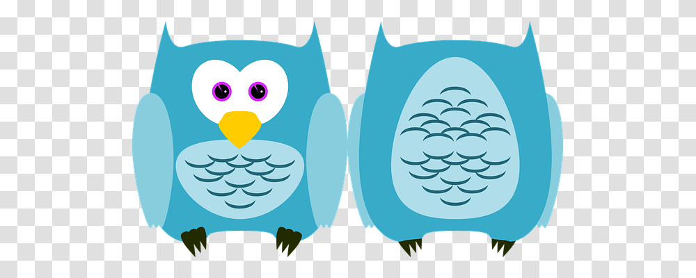 Owl Nature, Bird, Animal, Beak Transparent Png