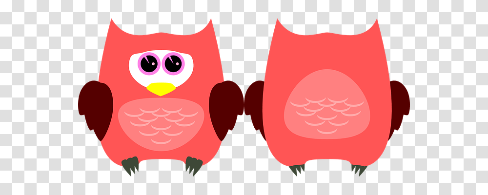 Owl Nature, Cushion, Goggles, Accessories Transparent Png