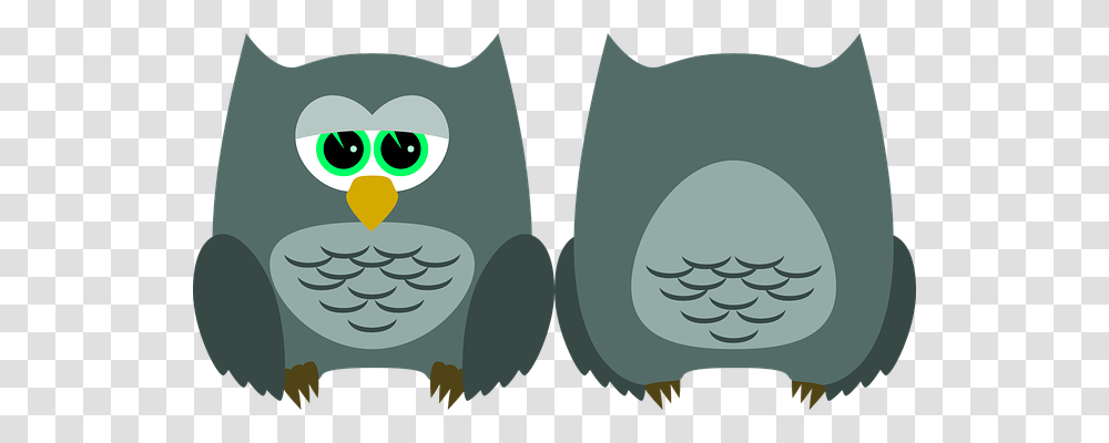 Owl Nature, Bird, Animal, Penguin Transparent Png