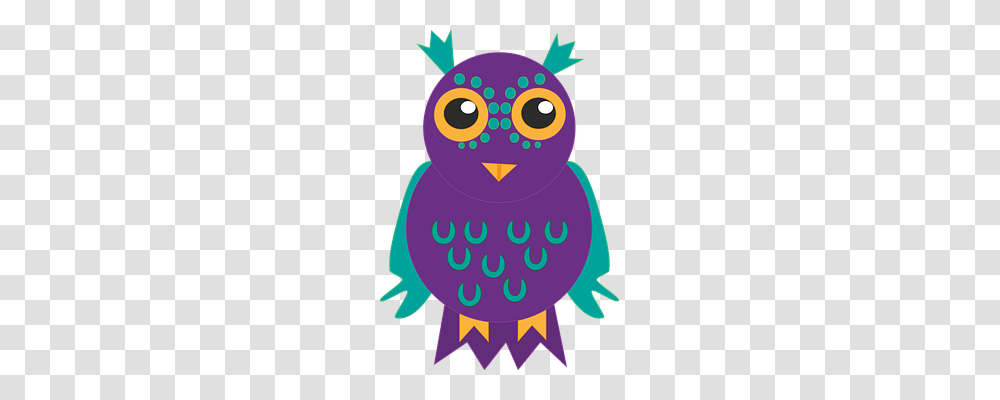 Owl Animal, Bird, Face, Bluebird Transparent Png