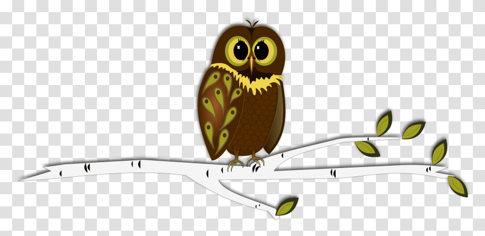 Owl And Pine Tree Cartoon Owl Tree, Animal, Bird, Beak Transparent Png