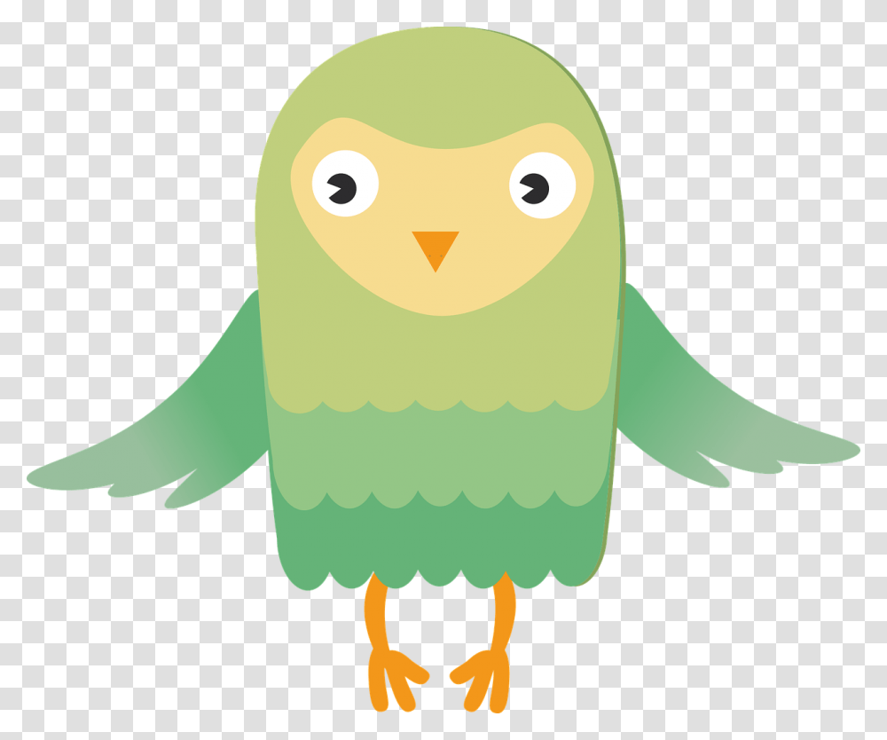 Owl Bird Green Free Picture Pillow Designs For Kids, Animal, Penguin, Kiwi Bird, Beak Transparent Png
