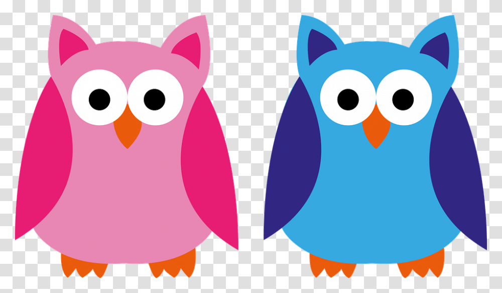 Owl Blue Pink Boy Girl Application Forest Animal Meme Menina Veste Rosa, Balloon, Angry Birds Transparent Png