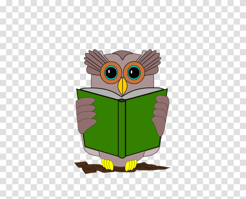 Owl Book Review Reading Bird, Toy, Animal, Photography, Student Transparent Png