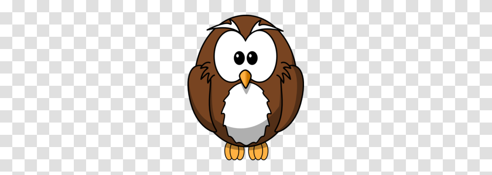 Owl Clip Art, Bird, Animal, Penguin Transparent Png