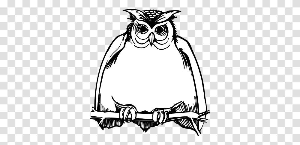 Owl Clip Art Black And White, Drawing, Animal, Bird, Helmet Transparent Png