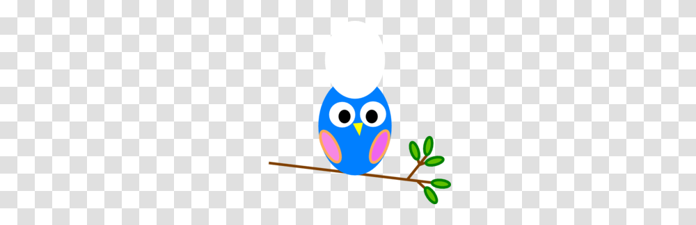 Owl Clip Art Free Cute, Angry Birds Transparent Png