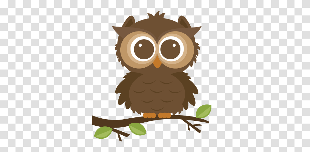 Owl Clipart, Bird, Animal, Eagle, Beak Transparent Png