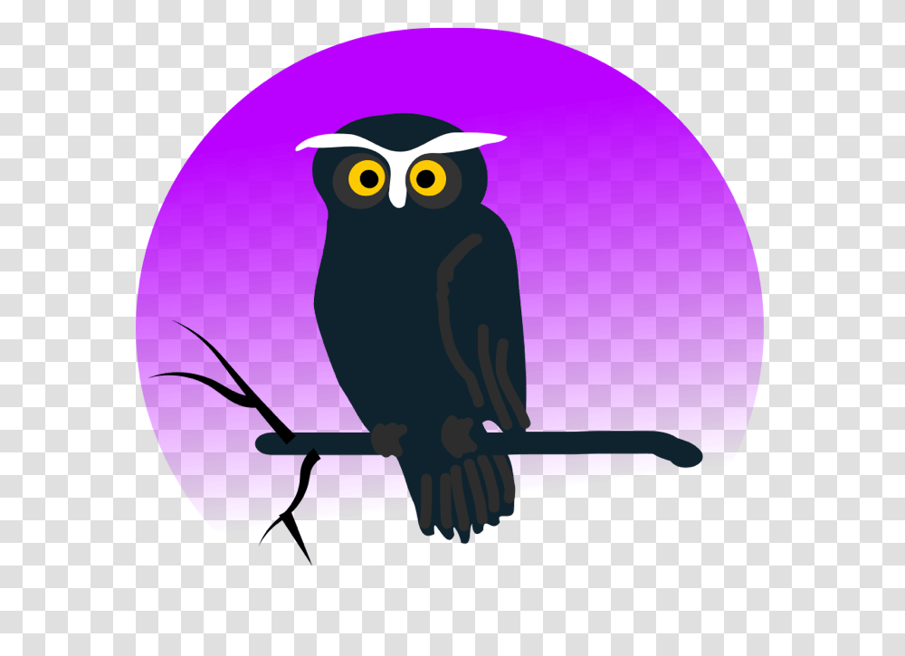 Owl Clipart, Bird, Animal Transparent Png