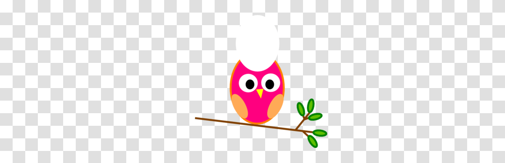 Owl Clipart Cute Transparent Png