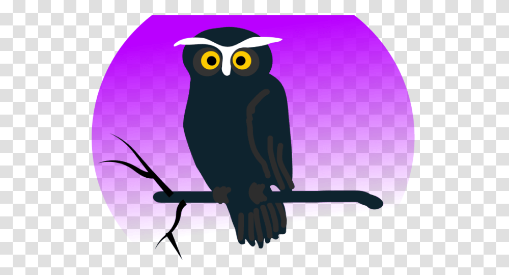 Owl Clipart Halloween Owl Cartoon, Bird, Animal Transparent Png