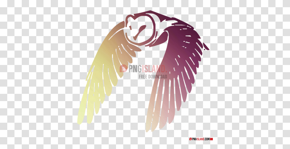 Owl Cog Image With Background Photo 14846 Lovely, Bird, Animal, Flamingo, Vulture Transparent Png