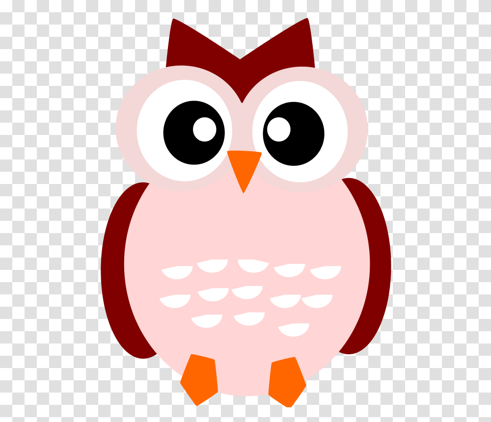 Owl Cute, Animals, Bird, Penguin Transparent Png
