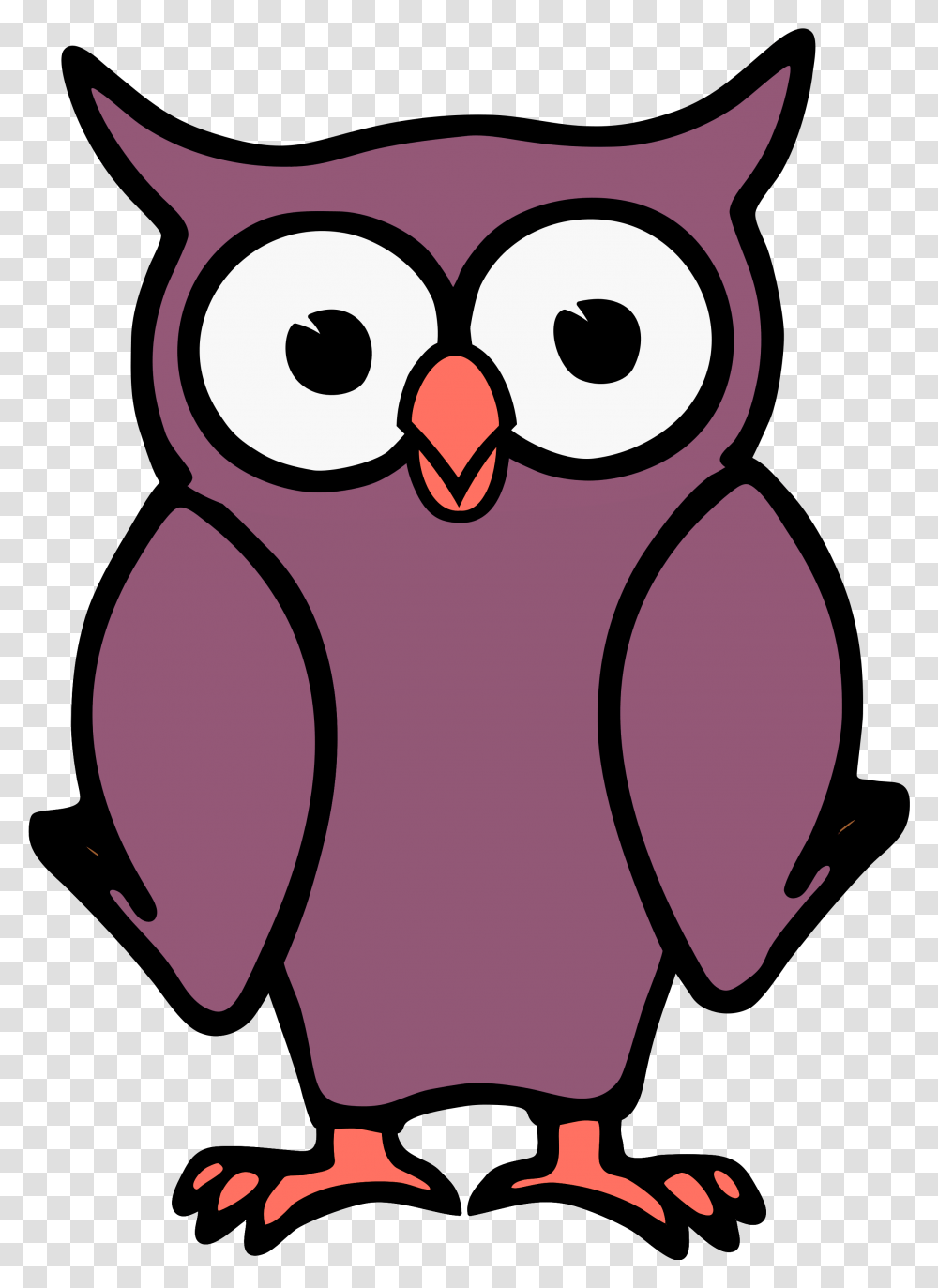 Owl Desktop Wallpaper Bird Clip Art, Animal, Penguin, Photography, Face Transparent Png