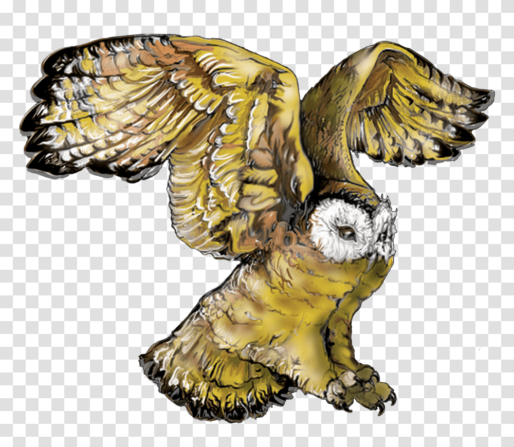 Owl Download Owl, Tiger, Animal, Bird Transparent Png