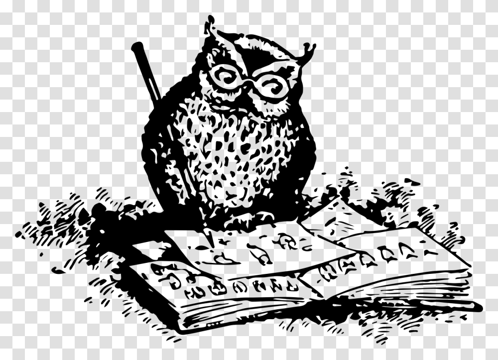 Owl Drawing Clip Art Owl Drawing, Gray, World Of Warcraft Transparent Png