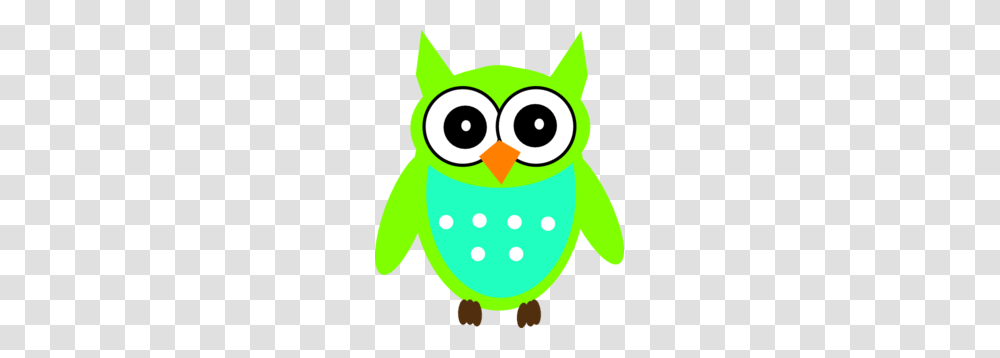 Owl Eyes Cliparts, Animal, Penguin, Bird, Egg Transparent Png