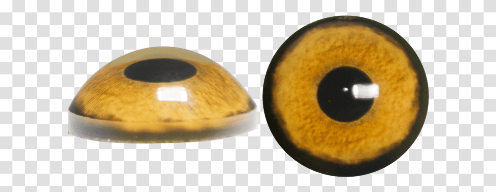 Owl Eyes Owl Eyes, Egg, Food, Accessories, Accessory Transparent Png