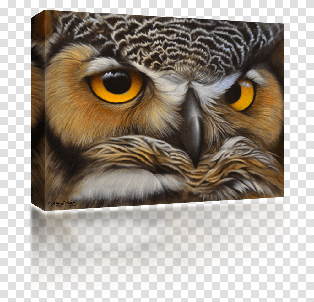 Owl Face Great Horned Owl, Bird, Animal, Cat, Pet Transparent Png