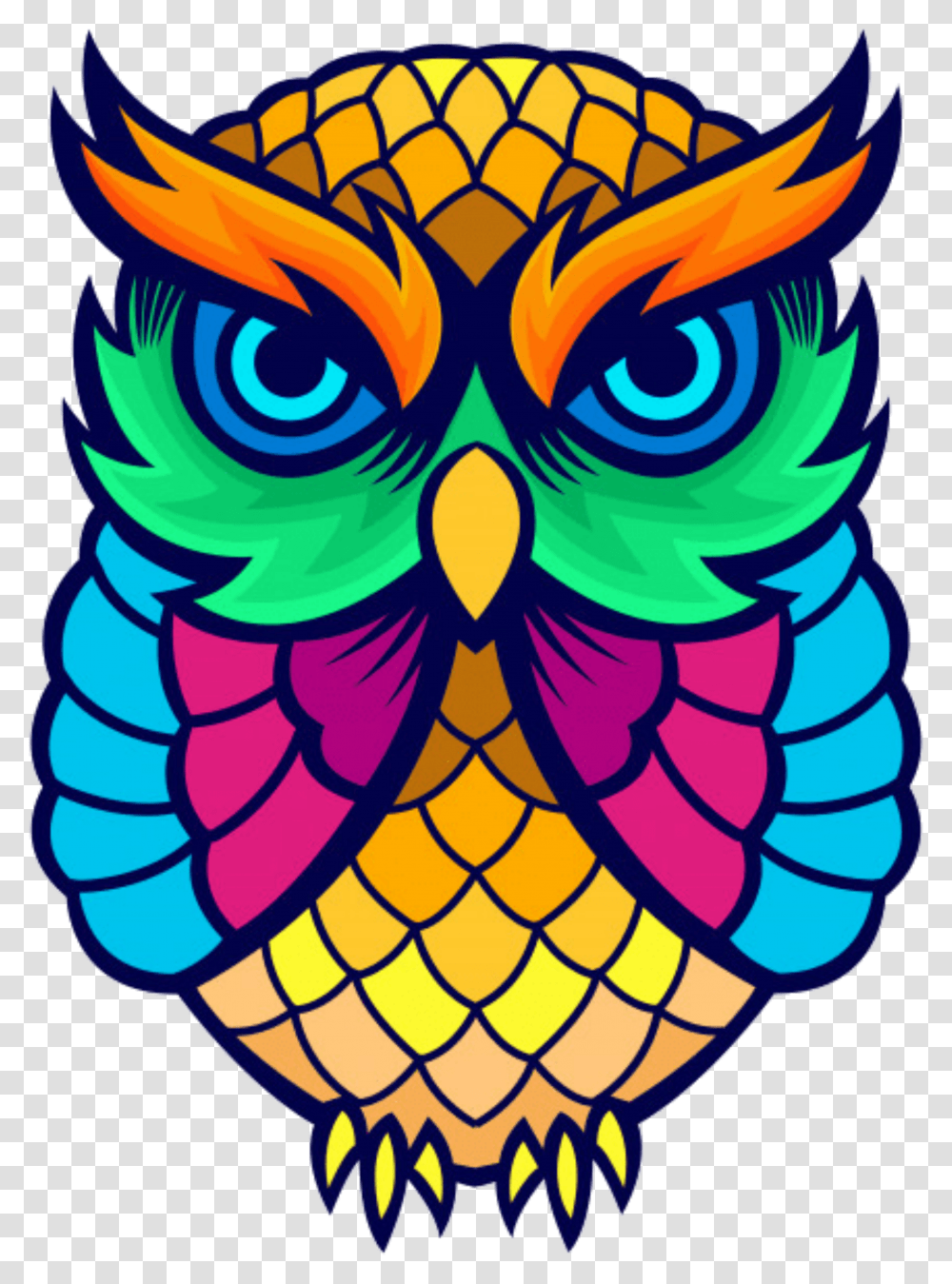 Owl Face Owl Design Transparent Png