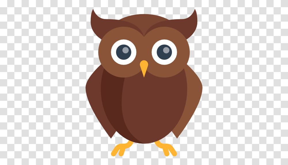 Owl Free Animals Icons Owl Icon Background, Bird, Beak, Kiwi Bird Transparent Png